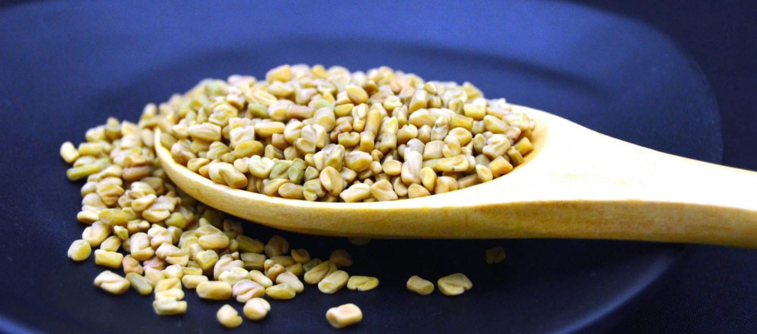 fenugreek