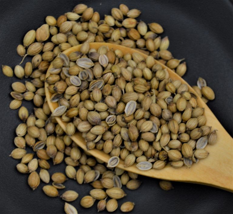 coriander-seeds