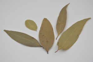 bay-leaves