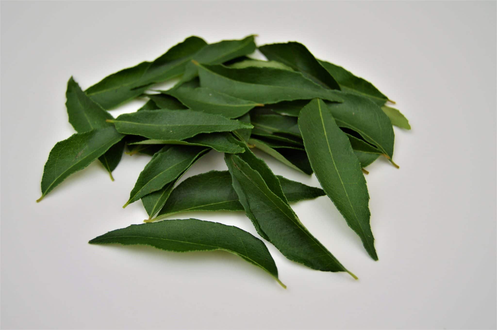 curry-leaves