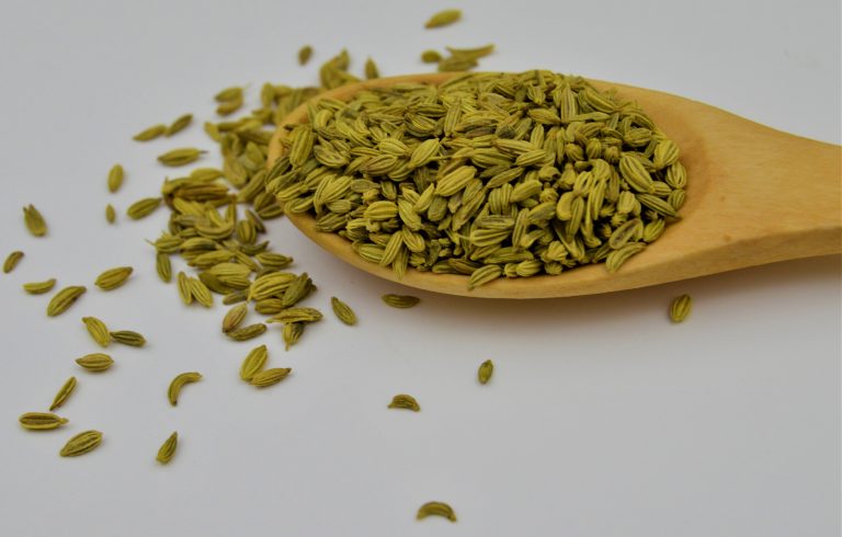 fennel-seeds