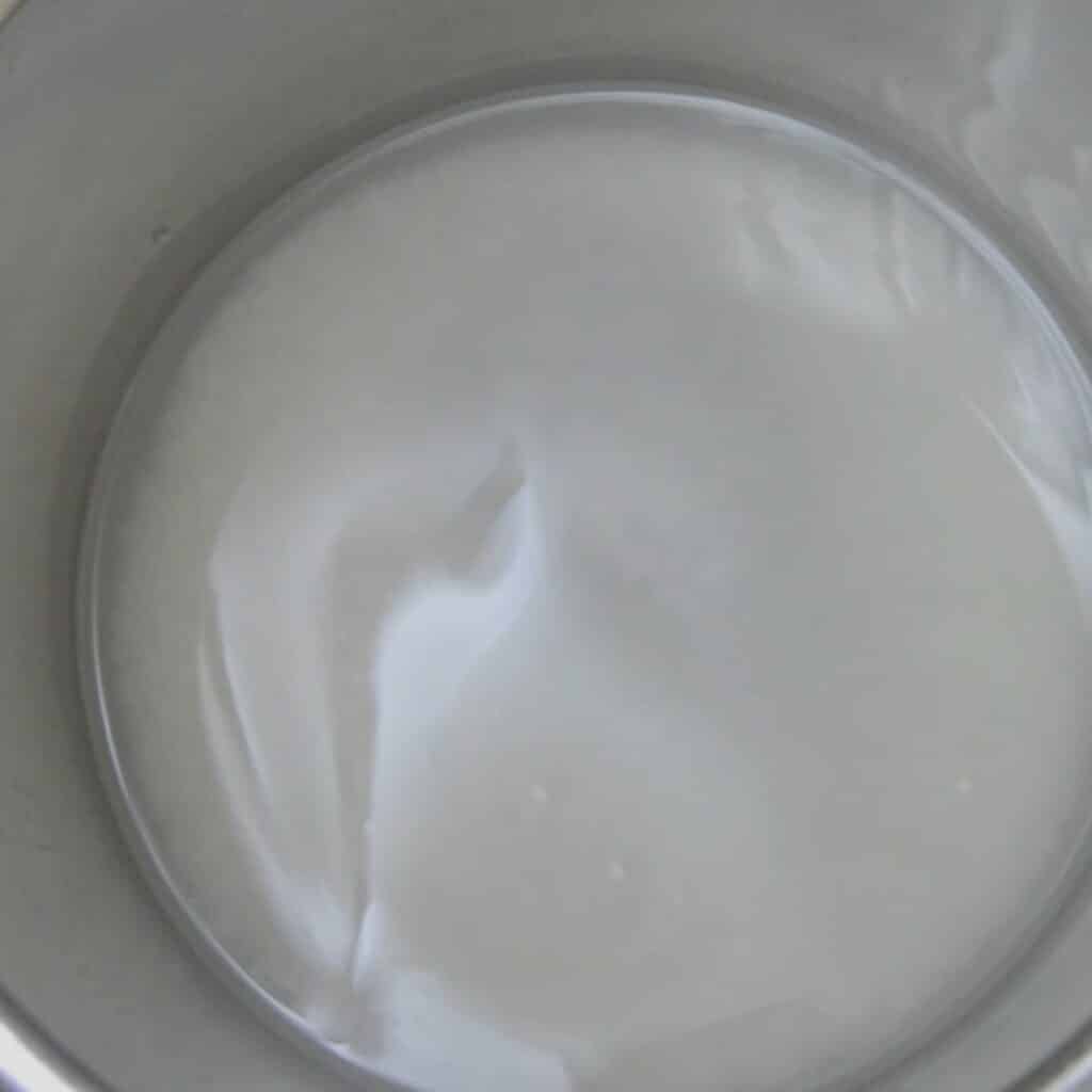 Curd Rice (South Indian Yogurt Rice) - Flavours Treat