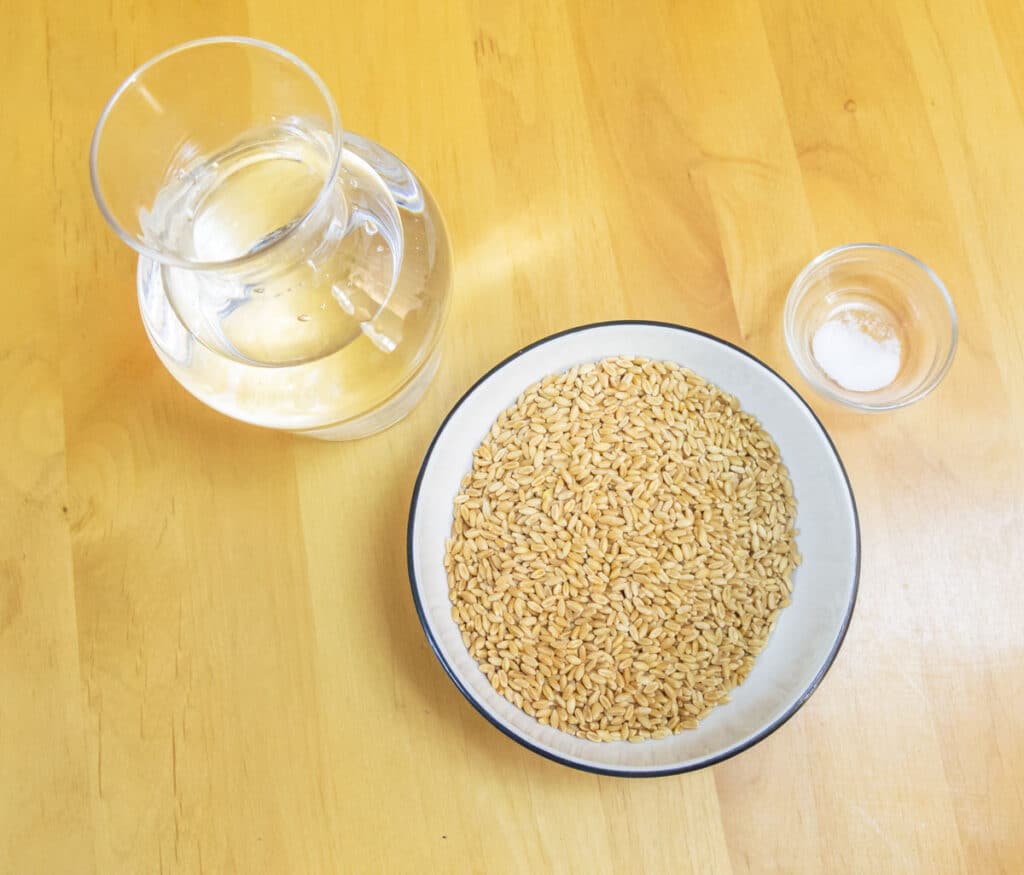 How to cook wheat berries? (without soaking) Flavours Treat