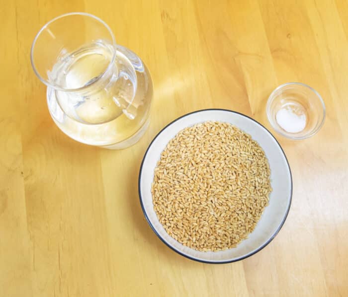 How to cook wheat berries? (without soaking) Flavours Treat