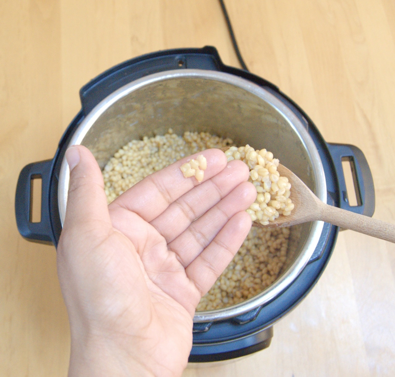 split wheat berries in a hand placed over the instant pot.
