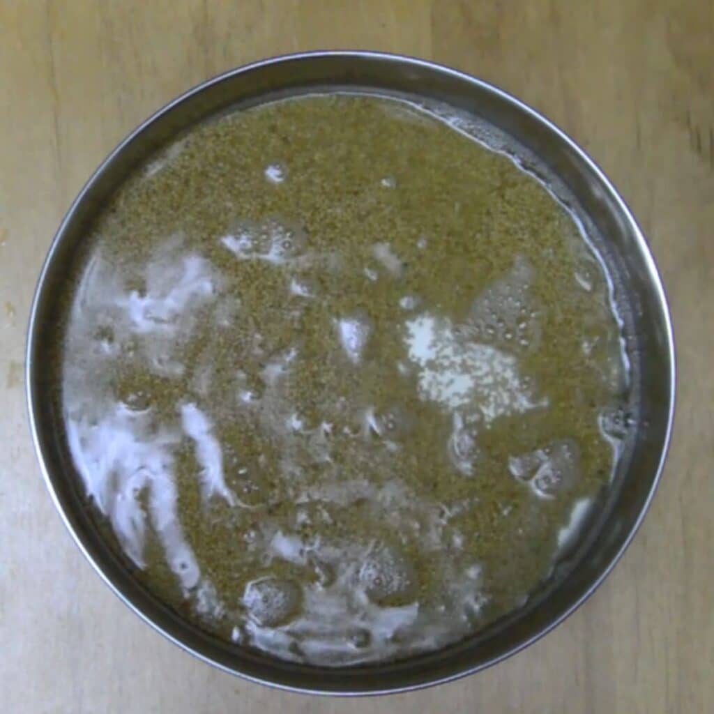 How to Cook Millets in Instant Pot Flavours Treat