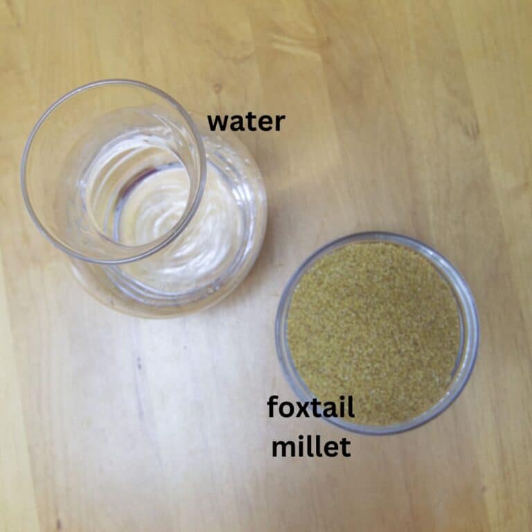 How to Cook Millets in Instant Pot Flavours Treat