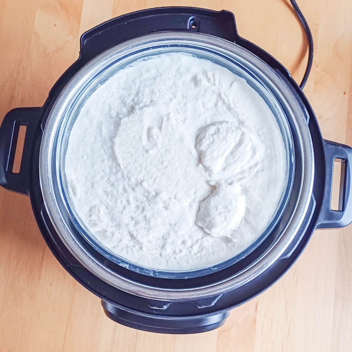 fermented idli batter inside instant pot