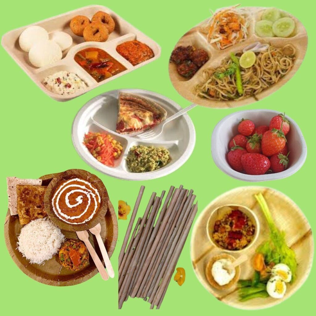 organic leafware eco friendly products filled with food on green background.