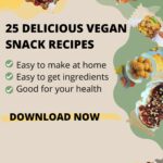 Vegan Snack ebook