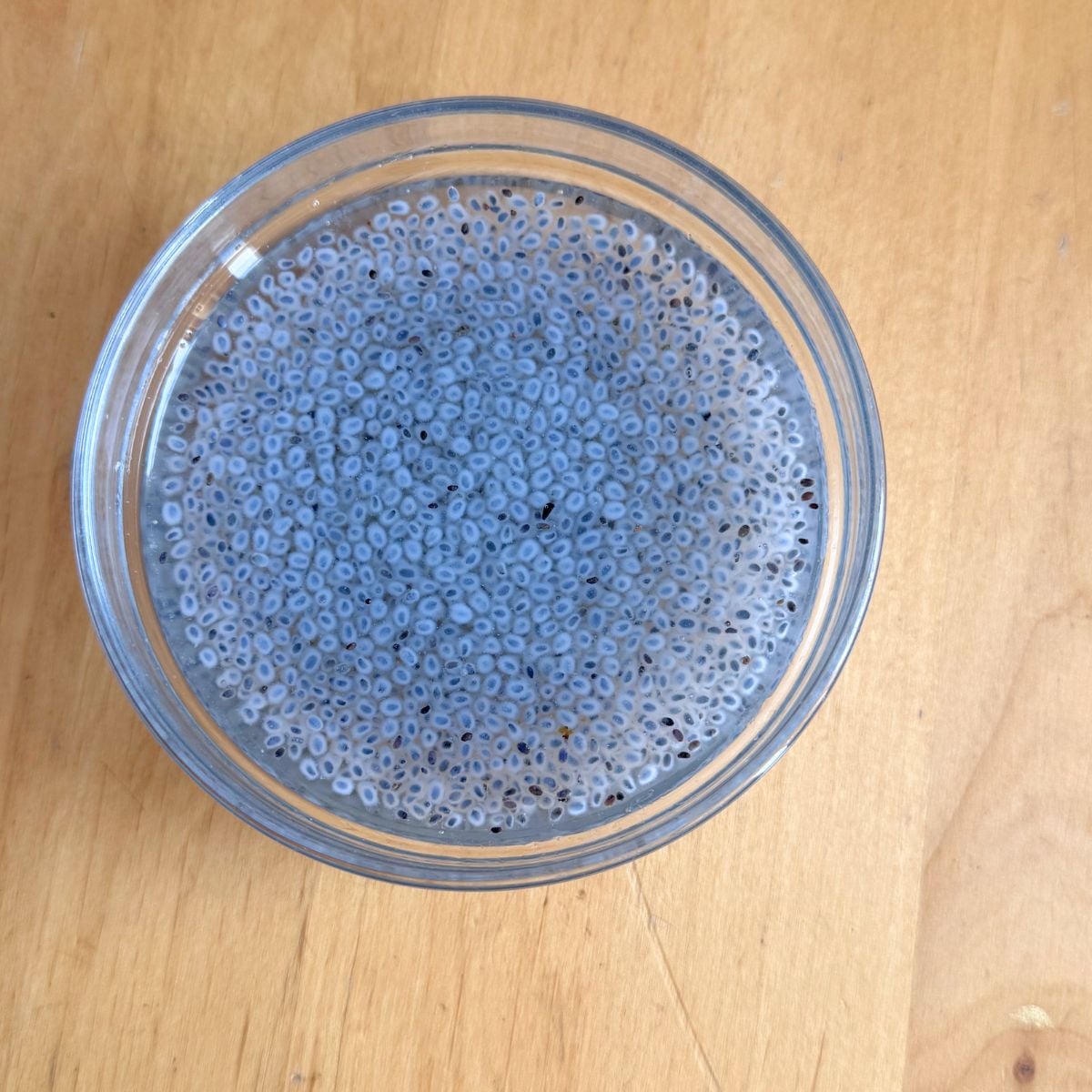 glass bowl of soaked sabja seeds placed on wooden table