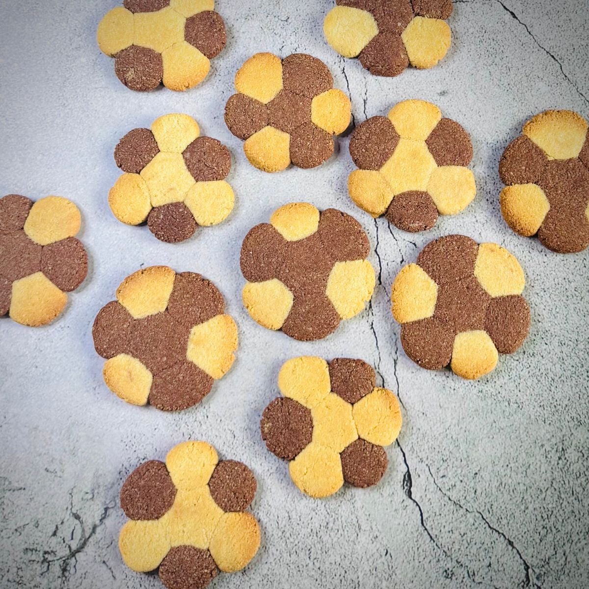 top view of vanilla chocolate two coloured almond flour flower cookies arranged on light coloured surface