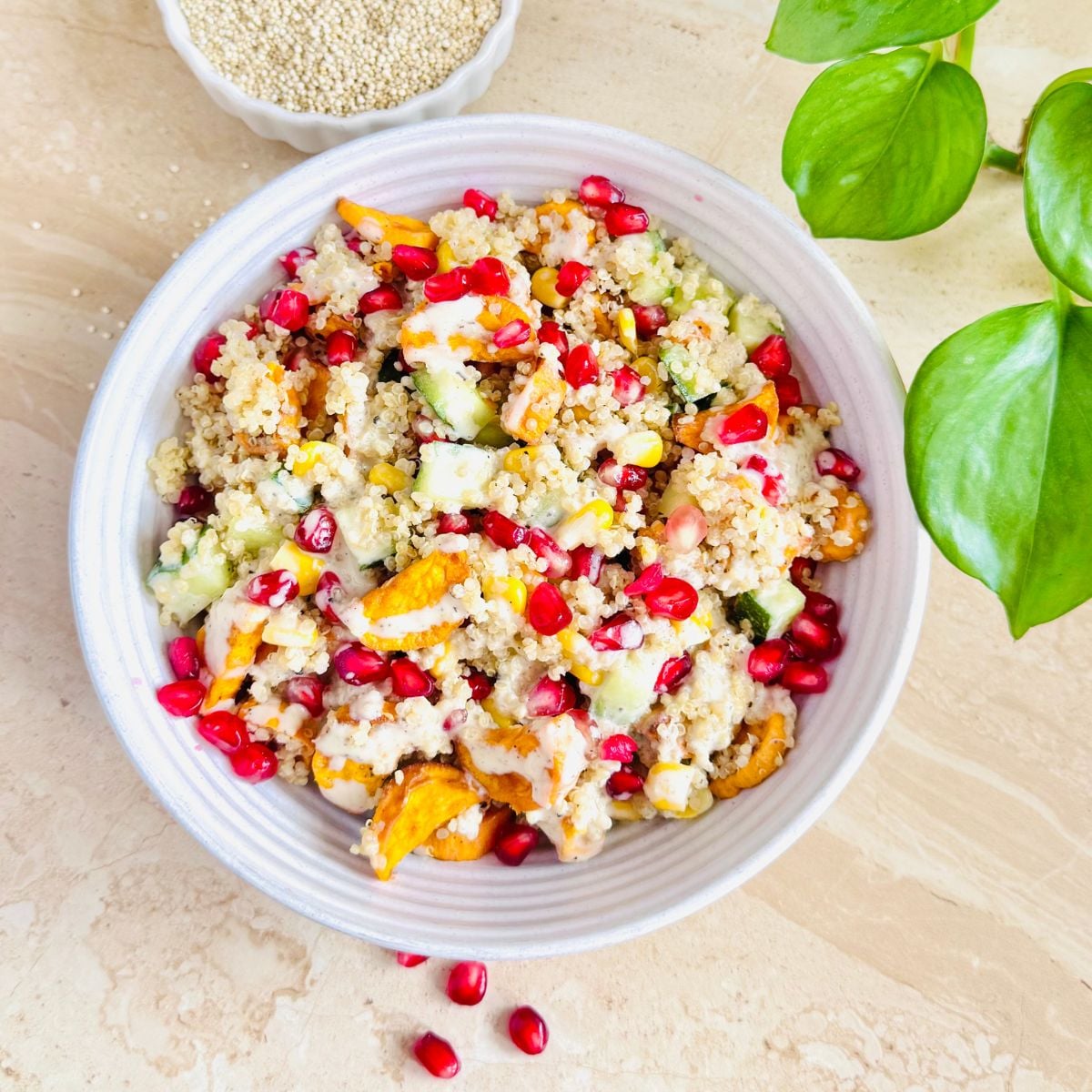 white bowl of roasted sweet potato quinoa salad topped with pomegranate arils placed on a granite along with a bowl of quinoa behind it.